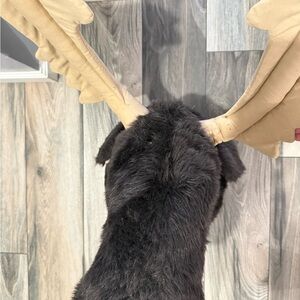 Moose head plush taxidermy mount for kids room man cave